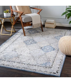 Livabliss Porto POO2302 Off-White Light Gray Area Rug 2 ft. X 2 ft. 11 in. Rectangle