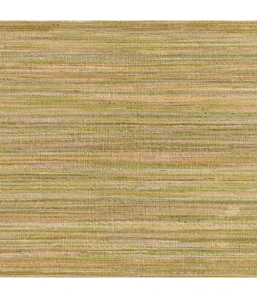 Surya Prairie PRR-3009-2x3 rug
