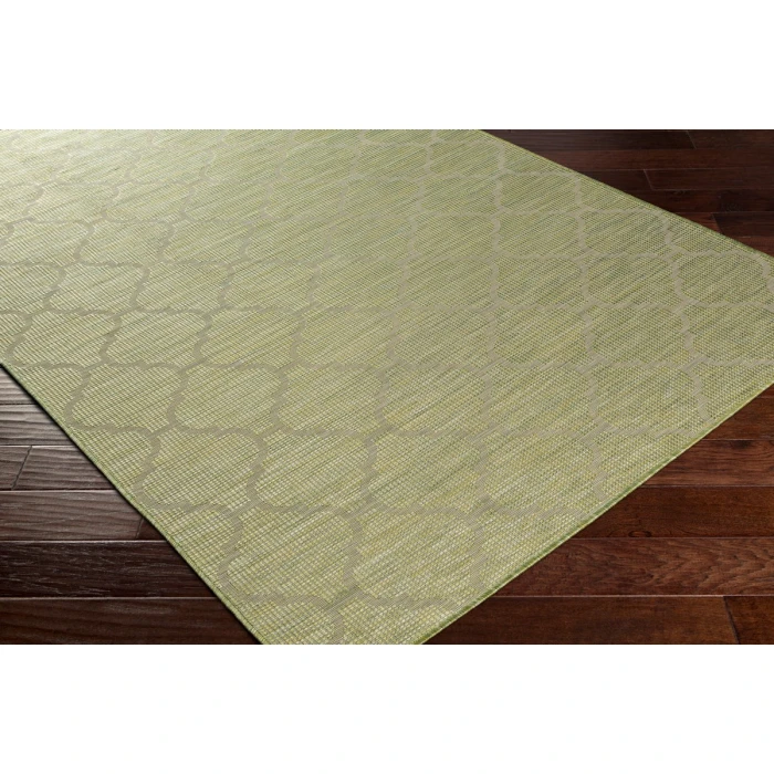 Surya Pasadena PSA-2337 2 6 x 7 3 Rug