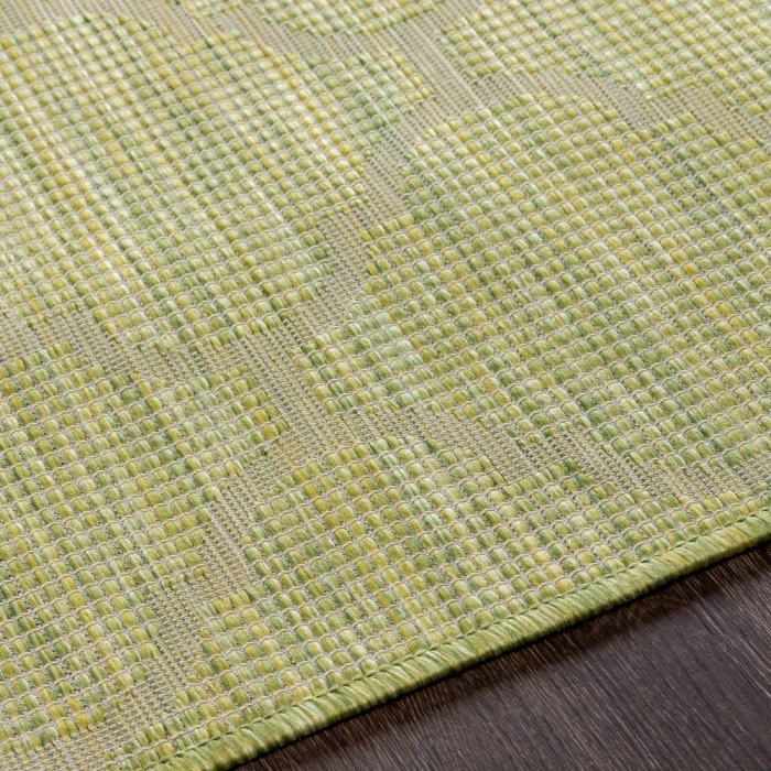 Surya Pasadena PSA-2337 2 6 x 7 3 Rug