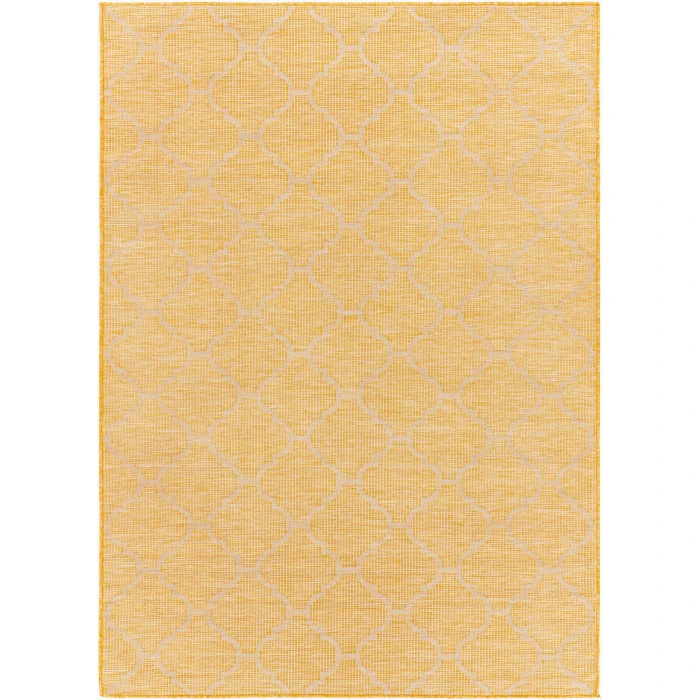 Surya Pasadena PSA-2347 2 6 x 4  Rug