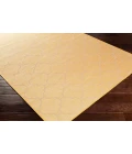 Surya Pasadena PSA-2347 2 6 x 4  Rug