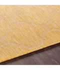 Surya Pasadena PSA-2347 2 6 x 4  Rug