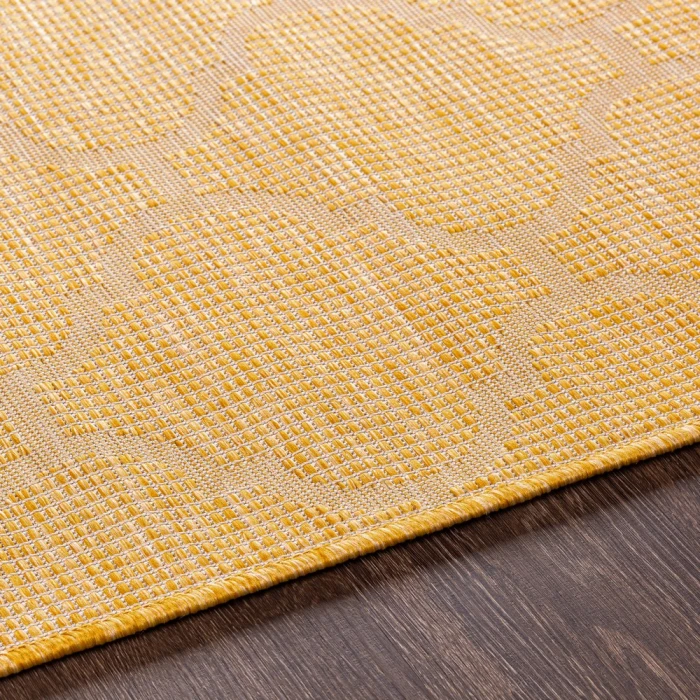 Surya Pasadena PSA-2347 2 6 x 4  Rug