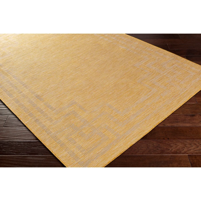 Surya Pasadena PSA-2354 2 6 x 4  Rug
