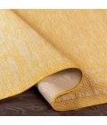 Surya Pasadena PSA-2354 2 6 x 4  Rug