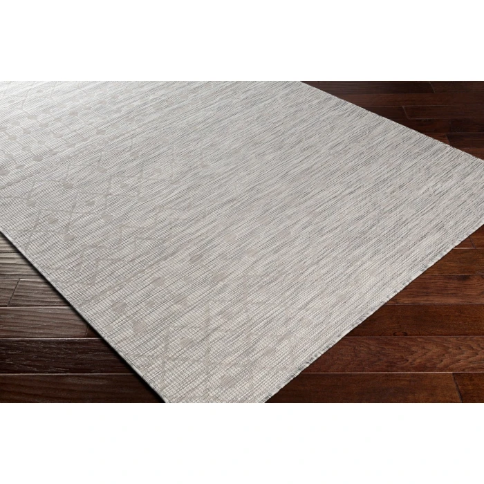 Surya Pasadena PSA-2376 2 6 x 4  Rug