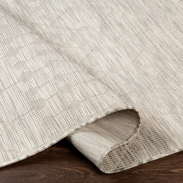 Surya Pasadena PSA-2376 2 6 x 4  Rug