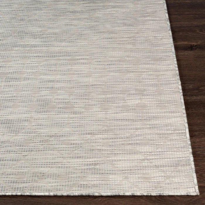 Surya Pasadena PSA-2376 2 6 x 4  Rug