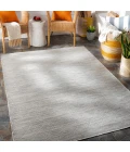Surya Pasadena PSA-2376 2 6 x 4  Rug