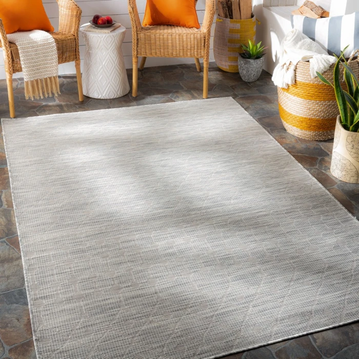 Surya Pasadena PSA-2376 2 6 x 4  Rug