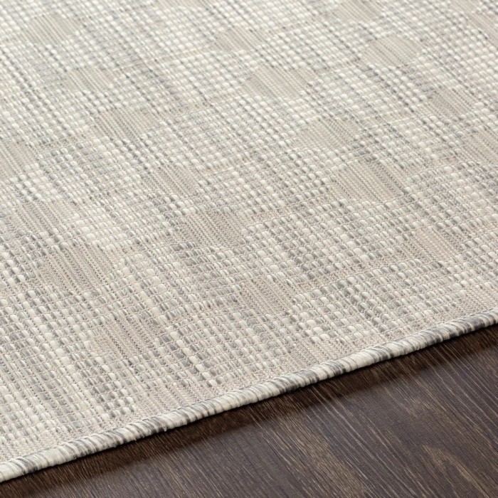 Surya Pasadena PSA-2376 2 6 x 4  Rug