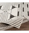 Livabliss Pisa PSS-2316 5  x 7  Rug