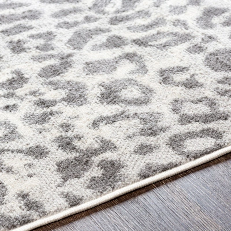 Livabliss Pisa PSS-2323 5 x 7 Rug