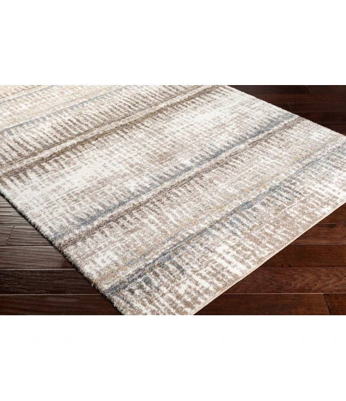 Livabliss Portofino PTF-2307 8 10 x 12  Rug