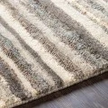 Surya Petra PTR-2300 8'10" x 12' Rug