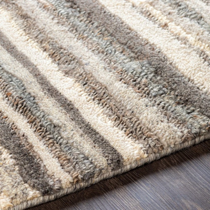Surya Petra PTR-2300 8'10" x 12' Rug