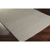 Surya Pura PUA3001 Light Gray Area Rug 4 ft. X 6 ft. Rectangle