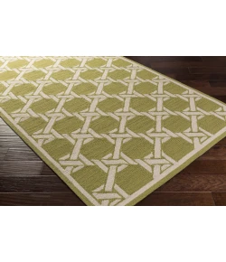 Surya Rain RAI1260 Olive Beige Area Rug 9 ft. X 12 ft. Rectangle