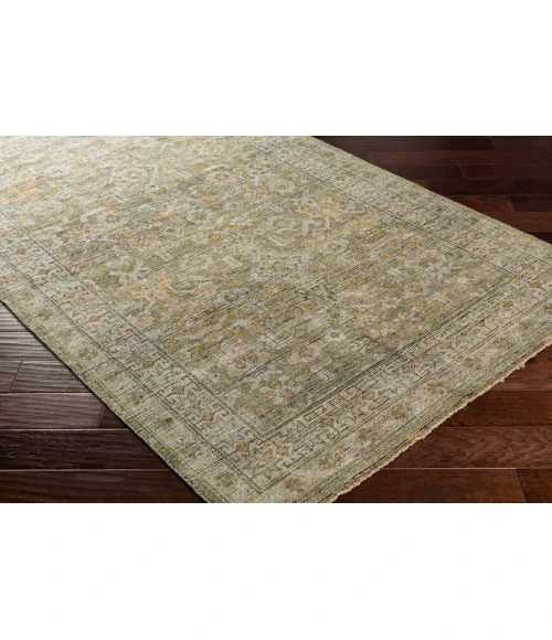 Surya Reign REG-2303 6  x 9  Rug