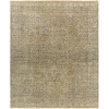 Surya Reign REG2303 Multi Area Rug 2 ft. X 3 ft. Rectangle
