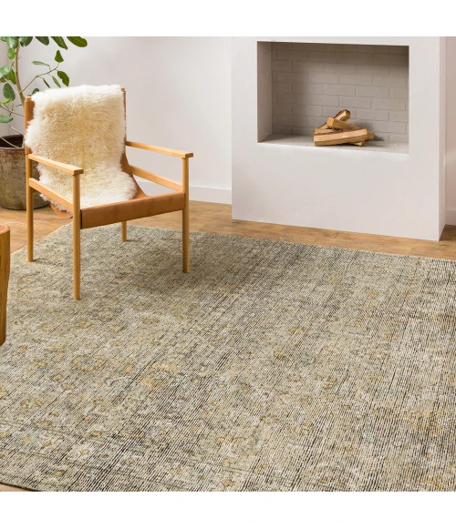 Surya Reign REG-2303 6  x 9  Rug