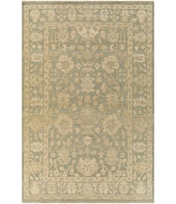 Surya Reign REG2306 Dark Green Khaki Area Rug 6 ft. X 9 ft. Rectangle