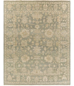 Surya Reign REG2306 Dark Green Khaki Area Rug 6 ft. X 9 ft. Rectangle