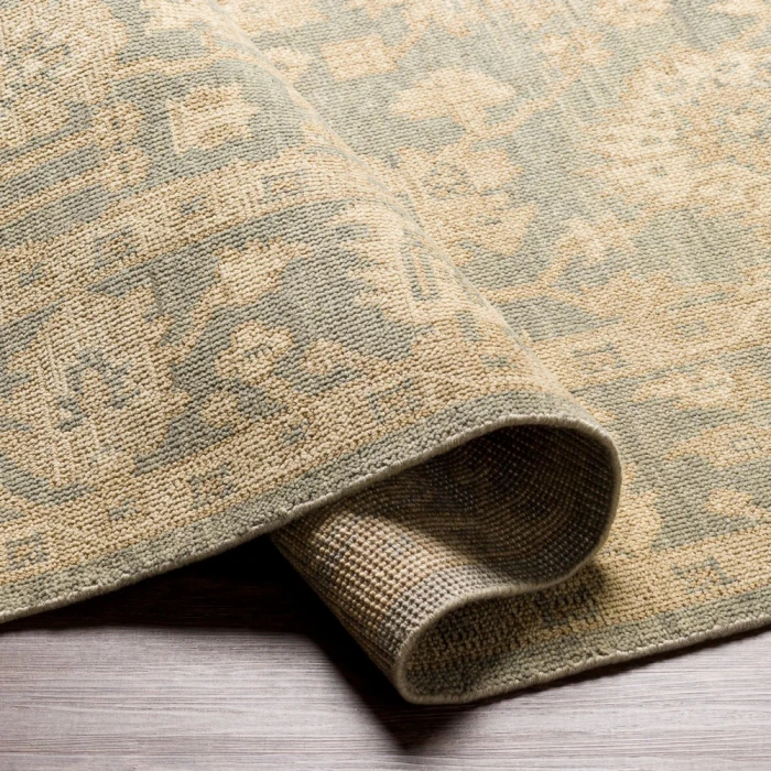 Surya Reign REG-2306 6  x 9  Rug