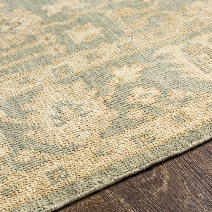 Surya Reign REG-2306 6  x 9  Rug