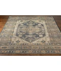 Surya Reign REG-2309 2  x 3  Rug