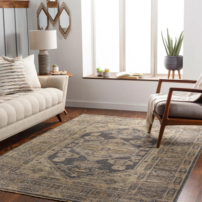 Surya Reign REG-2309 2  x 3  Rug