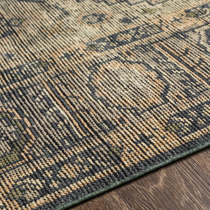 Surya Reign REG-2309 2  x 3  Rug