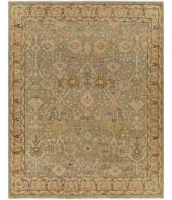 Surya Reign REG2311 Light Brown Dark Brown Area Rug 9 ft. X 12 ft. Rectangle
