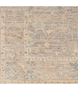 Surya Reign REG2322 Light Gray Beige Area Rug 6 ft. X 9 ft. Rectangle