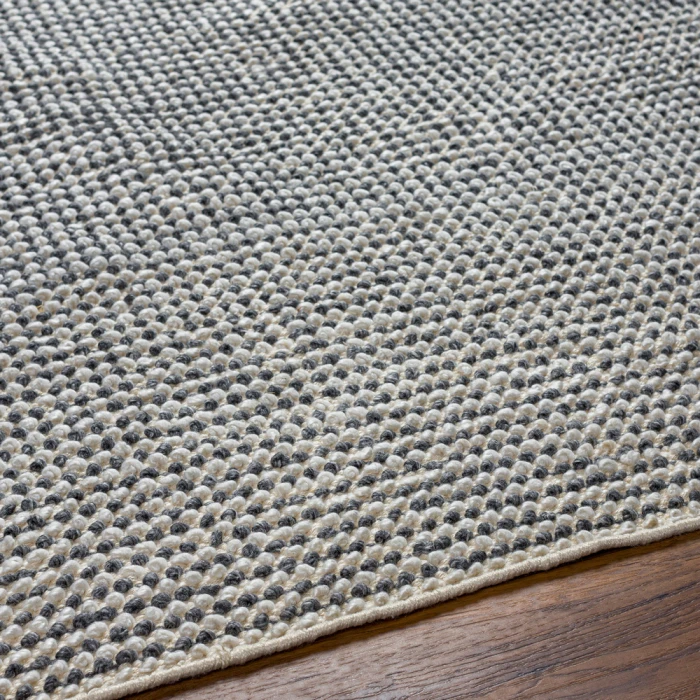 Surya Reika Rug REK2302