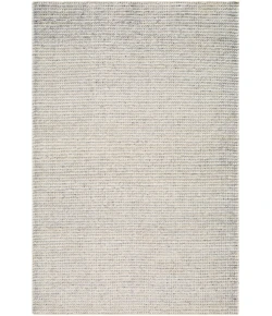 Surya Reika REK2304 Taupe Sage Area Rug 12 ft. X 15 ft. Rectangle