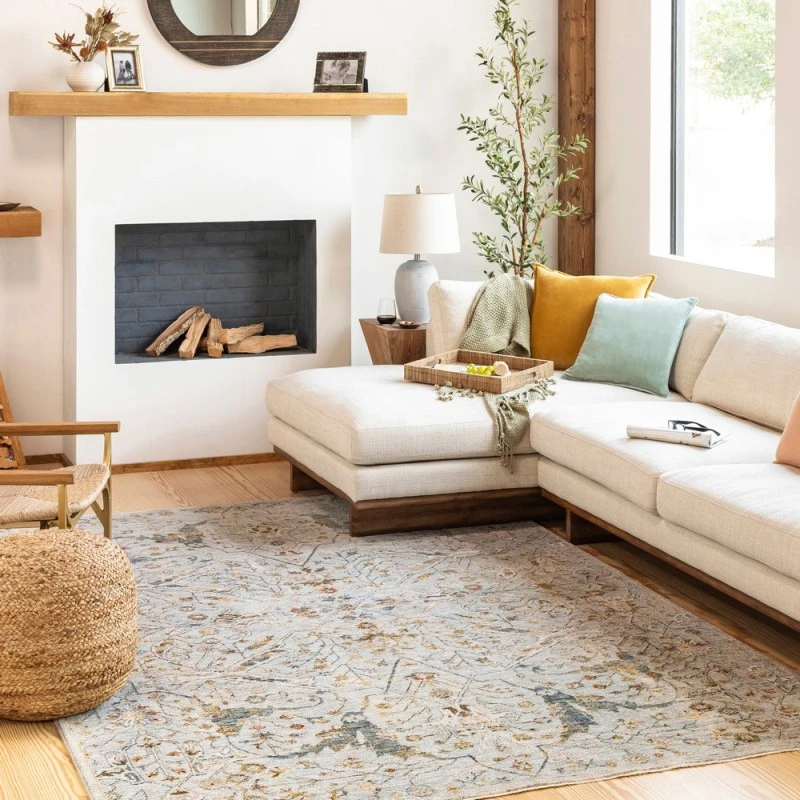 Surya Reina REN-2301 6'7" Round Rug