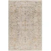 Livabliss Reina REN2302 Light Gray Denim Area Rug 7 ft. 10 in. X 10 ft. 3 in. Rectangle