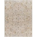 Surya Reina REN-2302 7'10" x 10'3" Rug