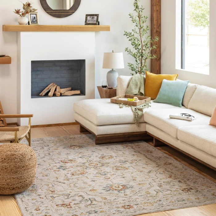 Surya Reina REN-2303 6'7" Round Rug