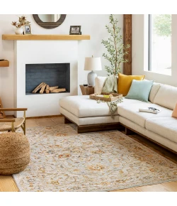 Livabliss Reina REN2304 Light Gray Cream Area Rug 5 ft. 3 in. Round