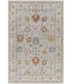 Livabliss Reina REN2307 Light Gray Cream Area Rug 5 ft. 3 in. Round