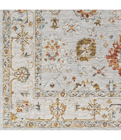 Surya Reina REN-2307 2'7" x 4' Rug