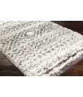 Surya Rhapsody RHA-1034-2x3 rug