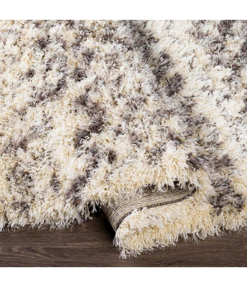 Surya Rhapsody RHA-1034-2x3 rug