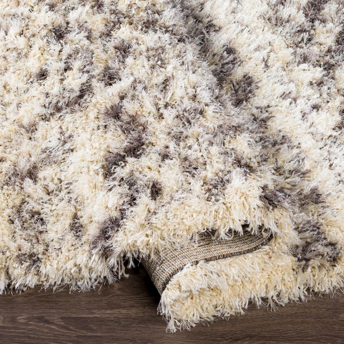 Surya Rhapsody RHA-1034-2x3 rug