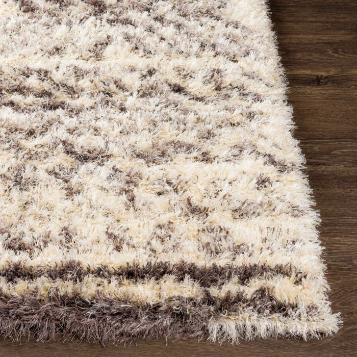 Surya Rhapsody RHA-1034-2x3 rug