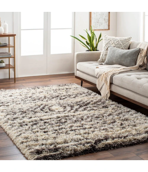 Surya Rhapsody RHA-1034-2x3 rug