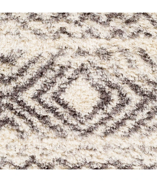Surya Rhapsody RHA-1034-2x3 rug